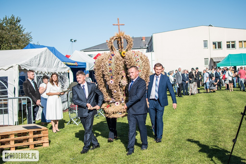 IX Dożynki Powiatu Poddębickiego w Dalikowie