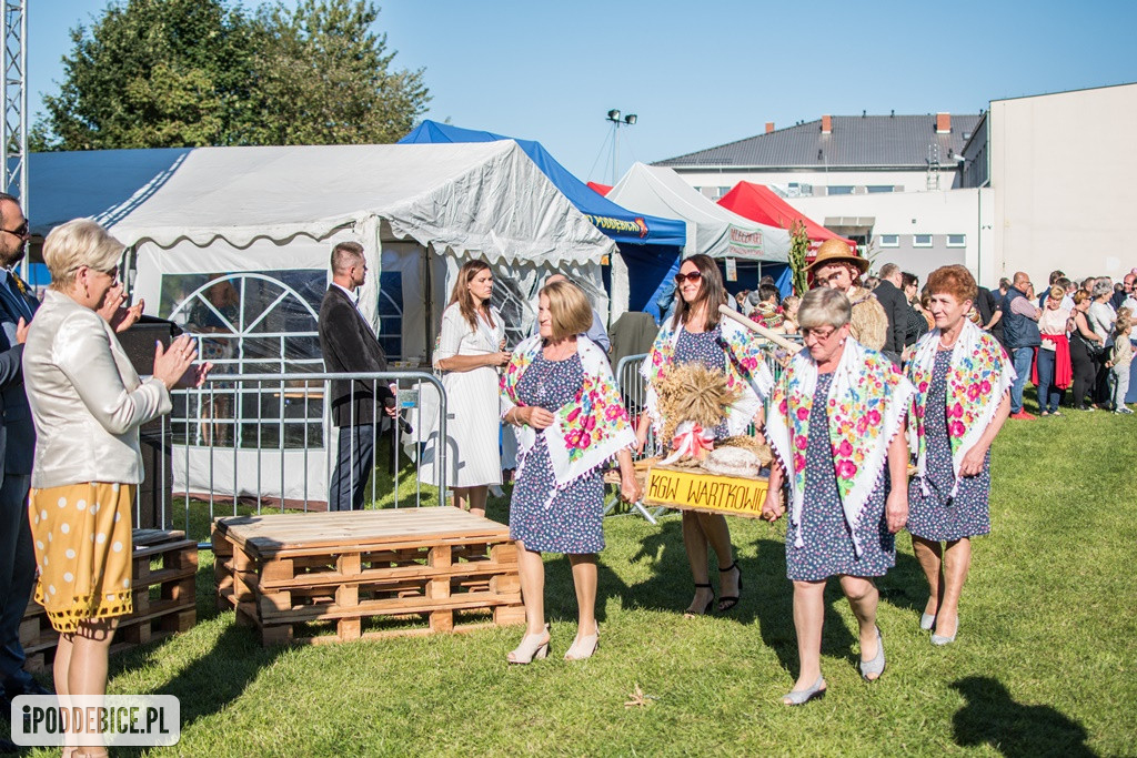 IX Dożynki Powiatu Poddębickiego w Dalikowie