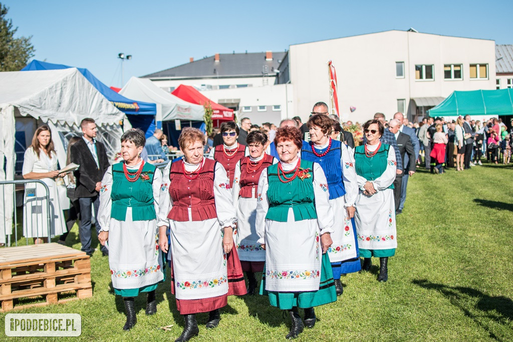 IX Dożynki Powiatu Poddębickiego w Dalikowie