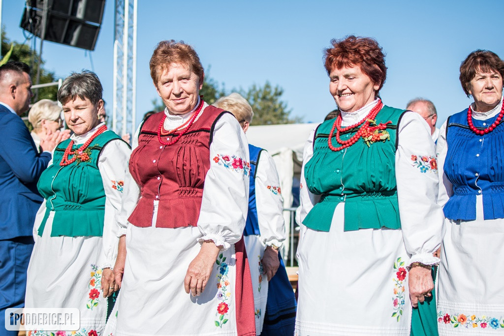IX Dożynki Powiatu Poddębickiego w Dalikowie