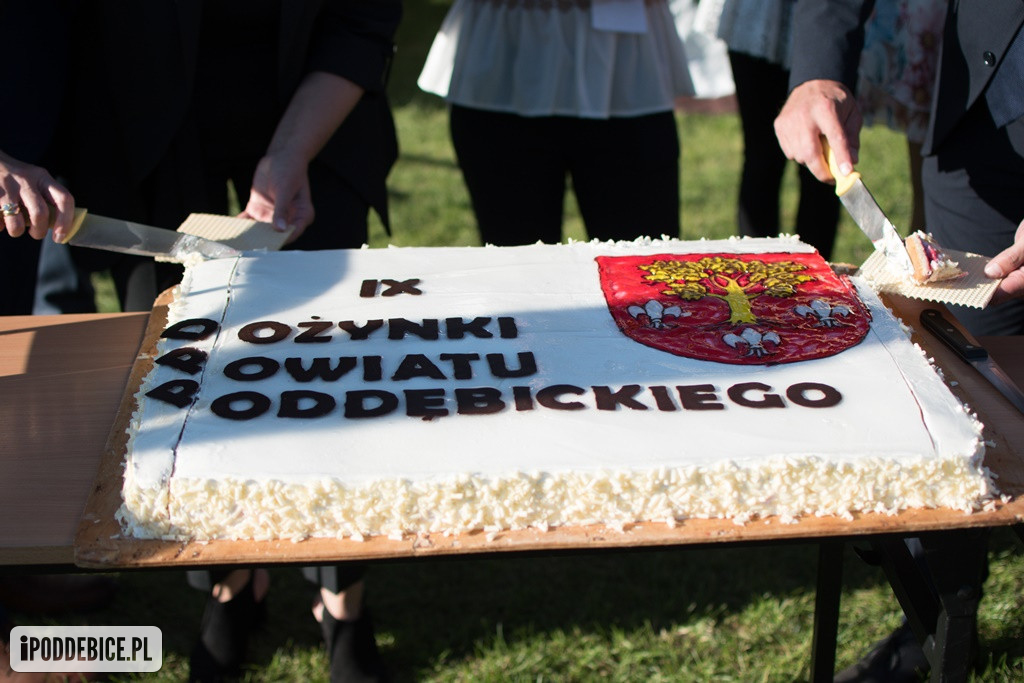 IX Dożynki Powiatu Poddębickiego w Dalikowie