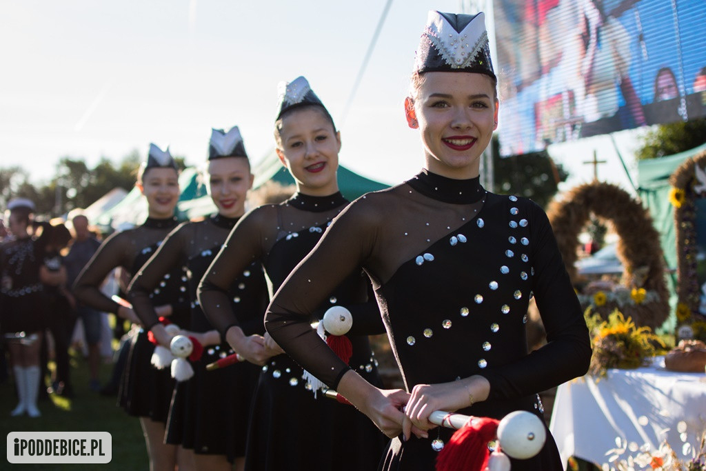 IX Dożynki Powiatu Poddębickiego w Dalikowie