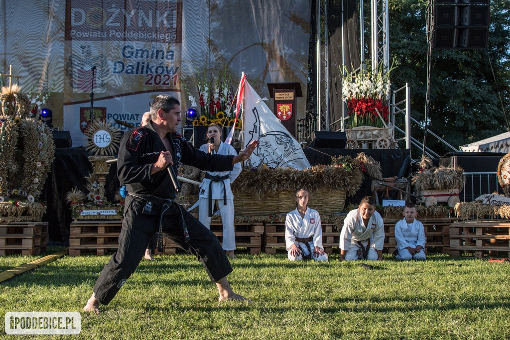 IX Dożynki Powiatu Poddębickiego w Dalikowie