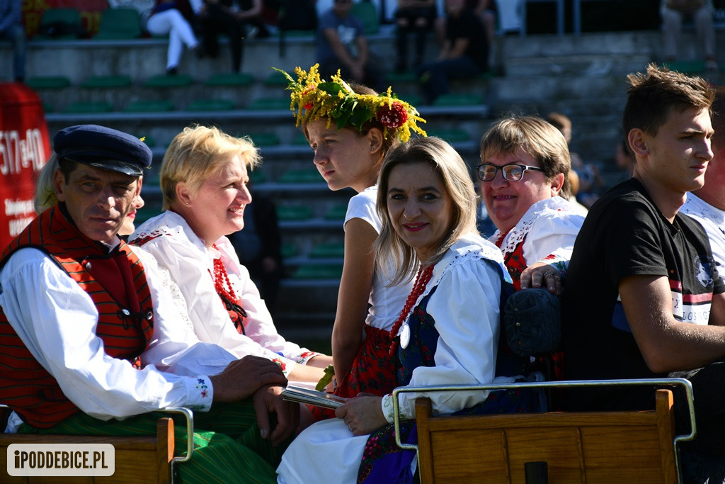 IX Dożynki Powiatu Poddębickiego w Dalikowie