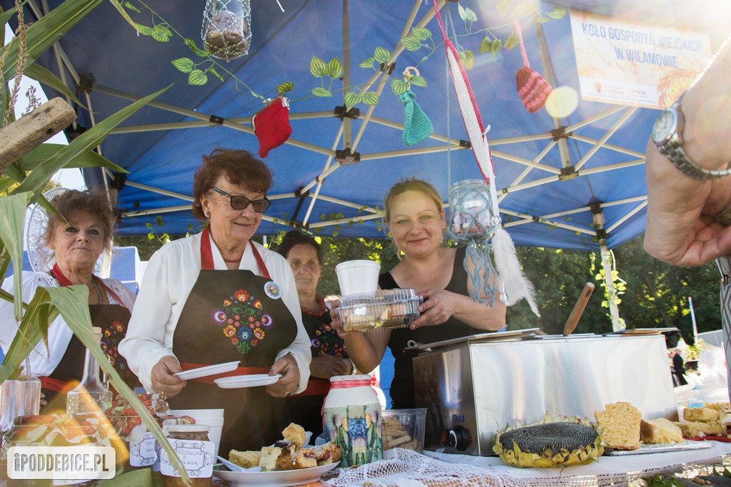 IX Dożynki Powiatu Poddębickiego w Dalikowie