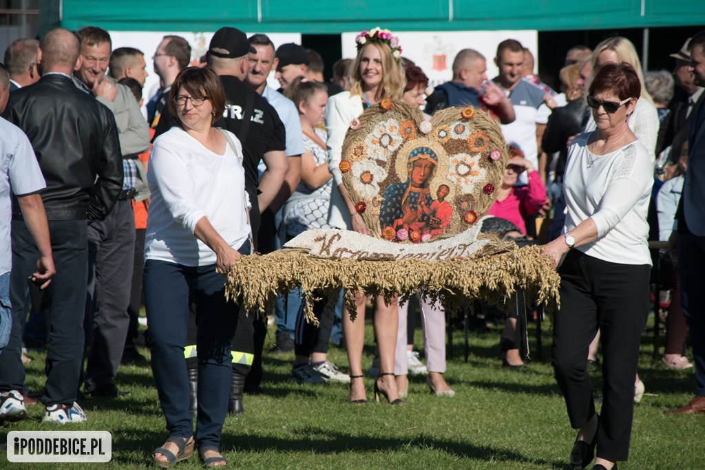 IX Dożynki Powiatu Poddębickiego w Dalikowie