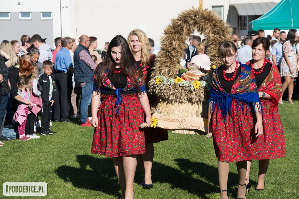IX Dożynki Powiatu Poddębickiego w Dalikowie