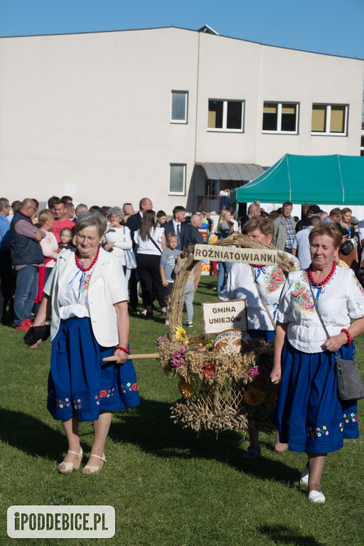IX Dożynki Powiatu Poddębickiego w Dalikowie