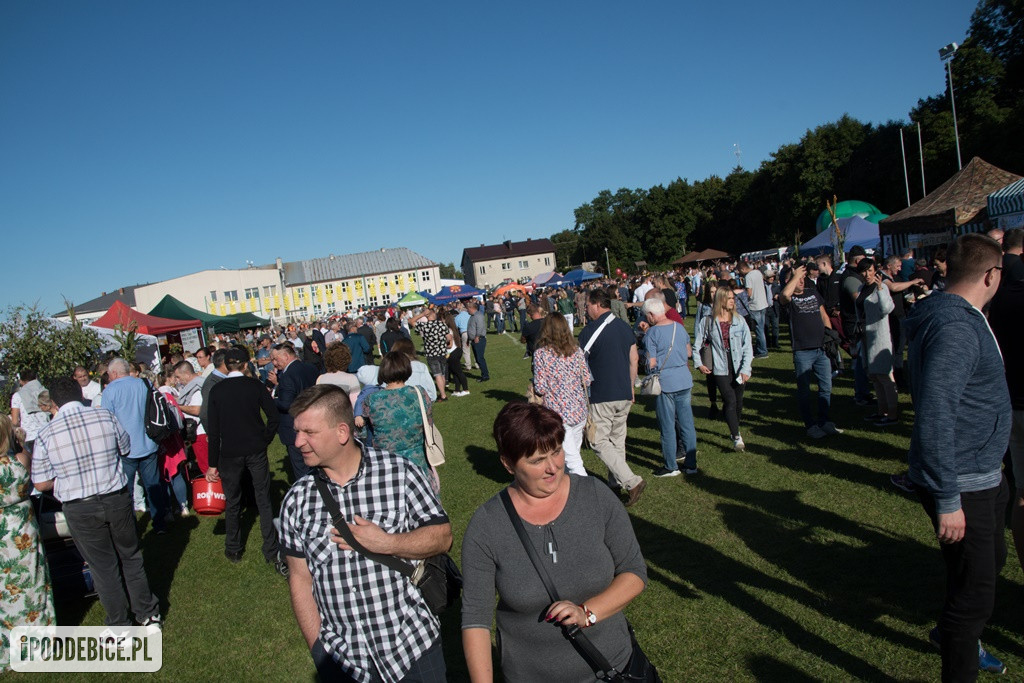 IX Dożynki Powiatu Poddębickiego w Dalikowie