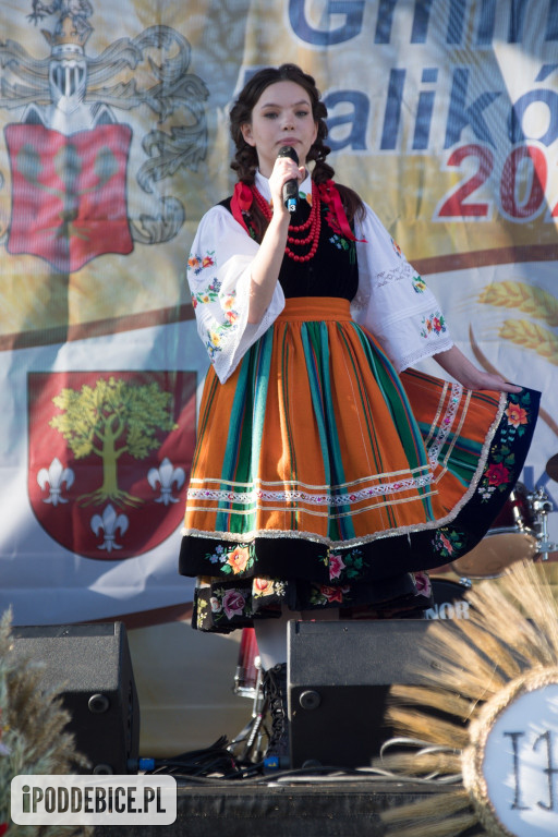 IX Dożynki Powiatu Poddębickiego w Dalikowie