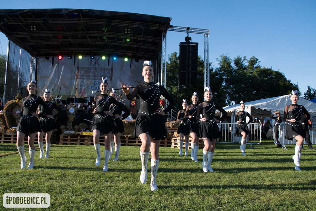 IX Dożynki Powiatu Poddębickiego w Dalikowie