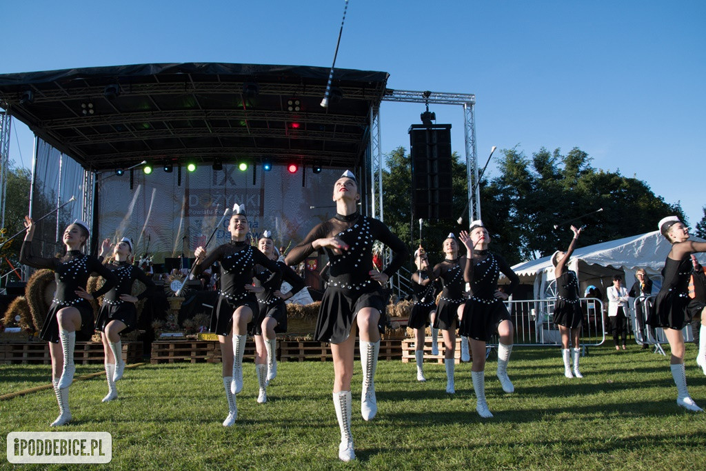 IX Dożynki Powiatu Poddębickiego w Dalikowie
