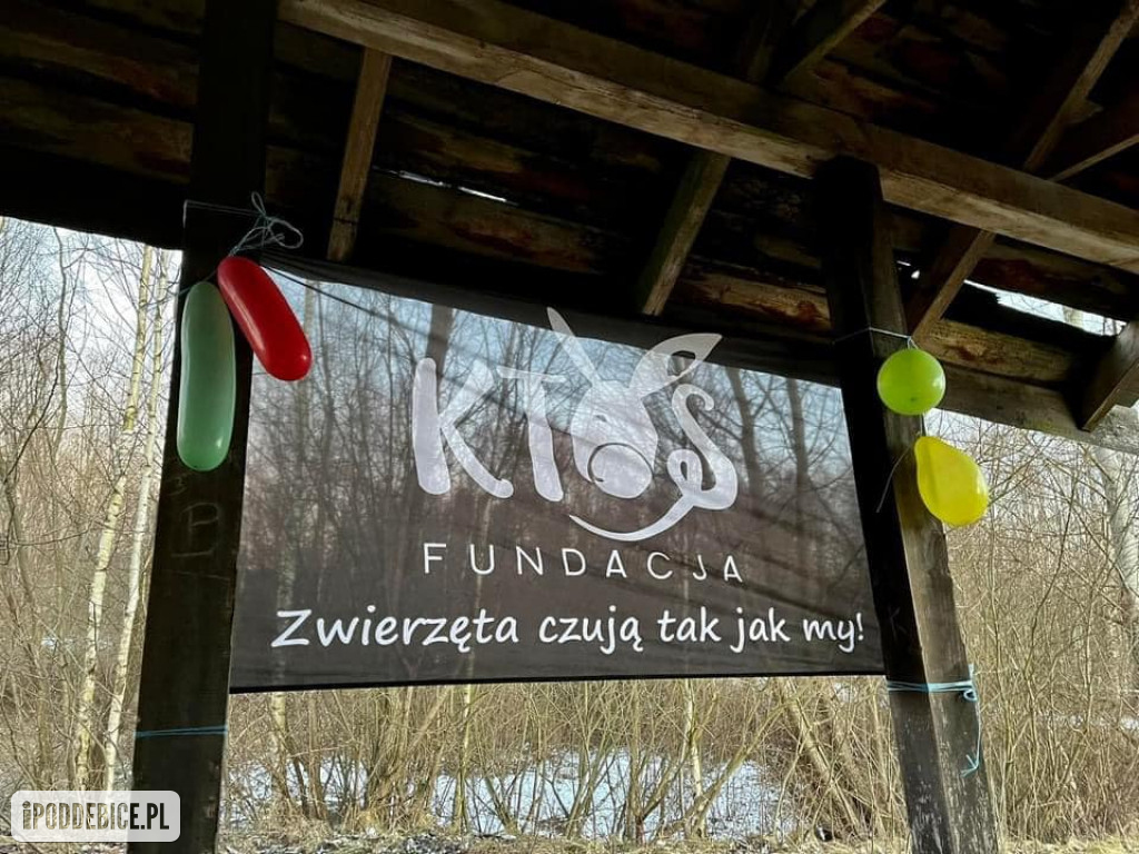 Walentynki w Ktosiowie, czyli azyl dla koni