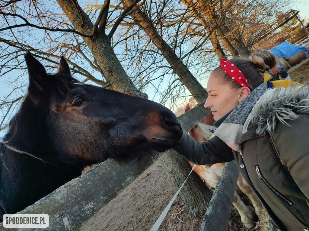 Walentynki w Ktosiowie, czyli azyl dla koni
