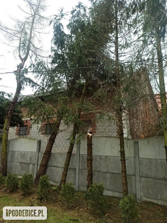Wichury nad regionem
