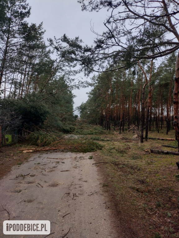 Wichury nad regionem