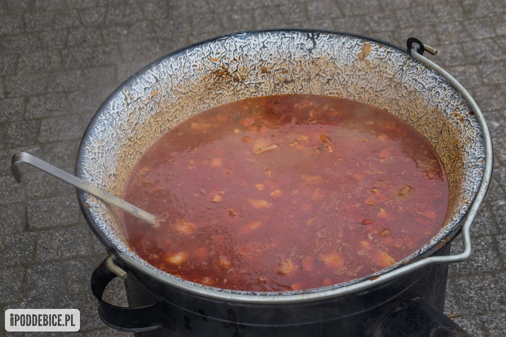 Pierwszy Piknik dla Ukrainy w Uniejowie