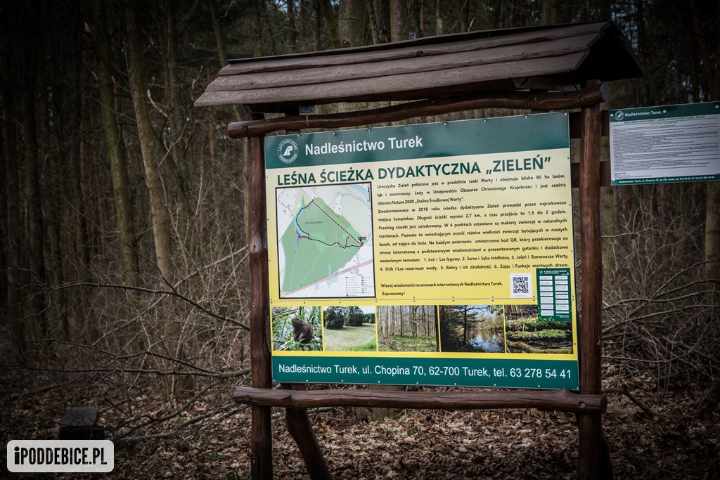 Gdzie na spacer w okolicy? Zobacz to miejsce