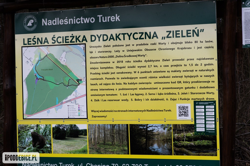 Gdzie na spacer w okolicy? Zobacz to miejsce