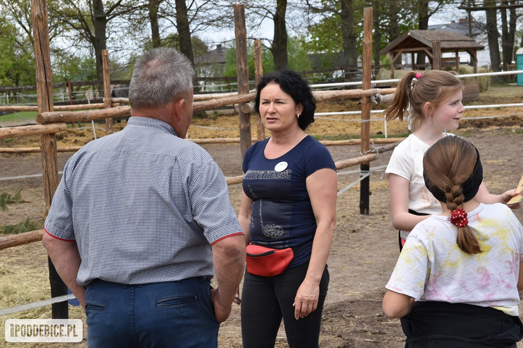 Majówka w Ktosiowie wśród koni, które miały trafić do rzeźni [ZDJĘCIA]