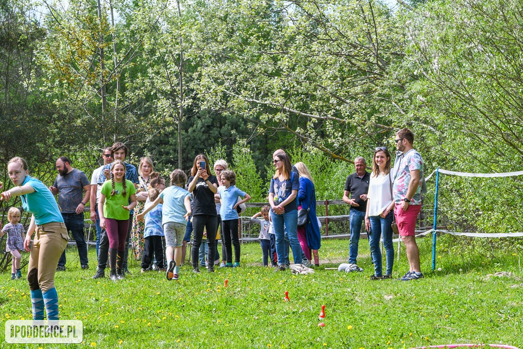 Majówka w Ktosiowie wśród koni, które miały trafić do rzeźni [ZDJĘCIA]