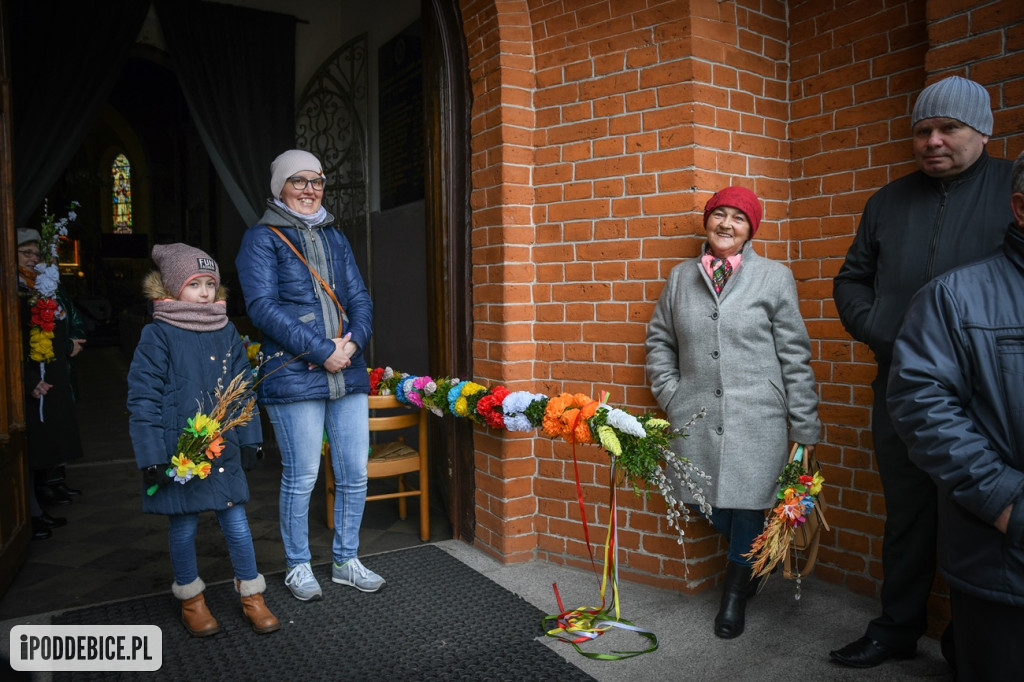 Konkurs na najwyższa palmę.