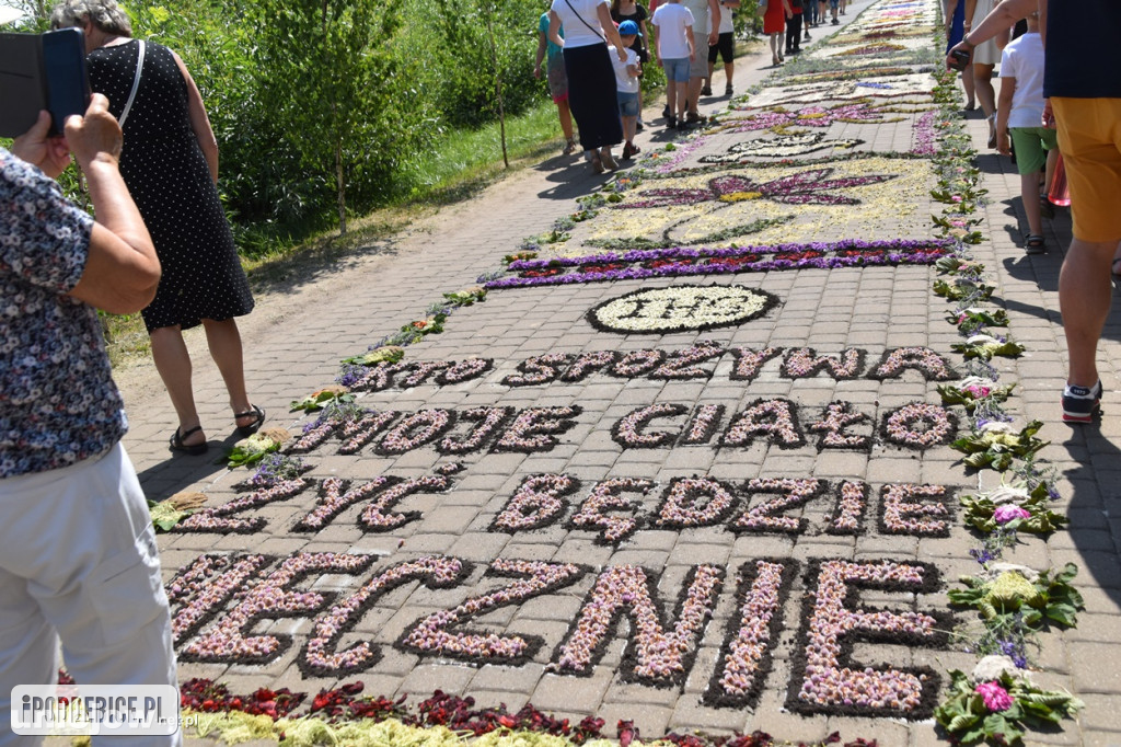 ​Boże Ciało w Spycimierzu. Zobacz, jakie kwietne dywany