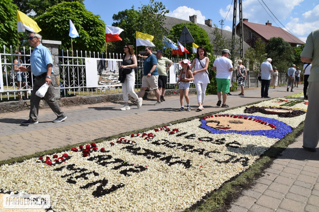 ​Boże Ciało w Spycimierzu. Zobacz, jakie kwietne dywany