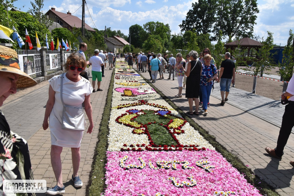 ​Boże Ciało w Spycimierzu. Zobacz, jakie kwietne dywany