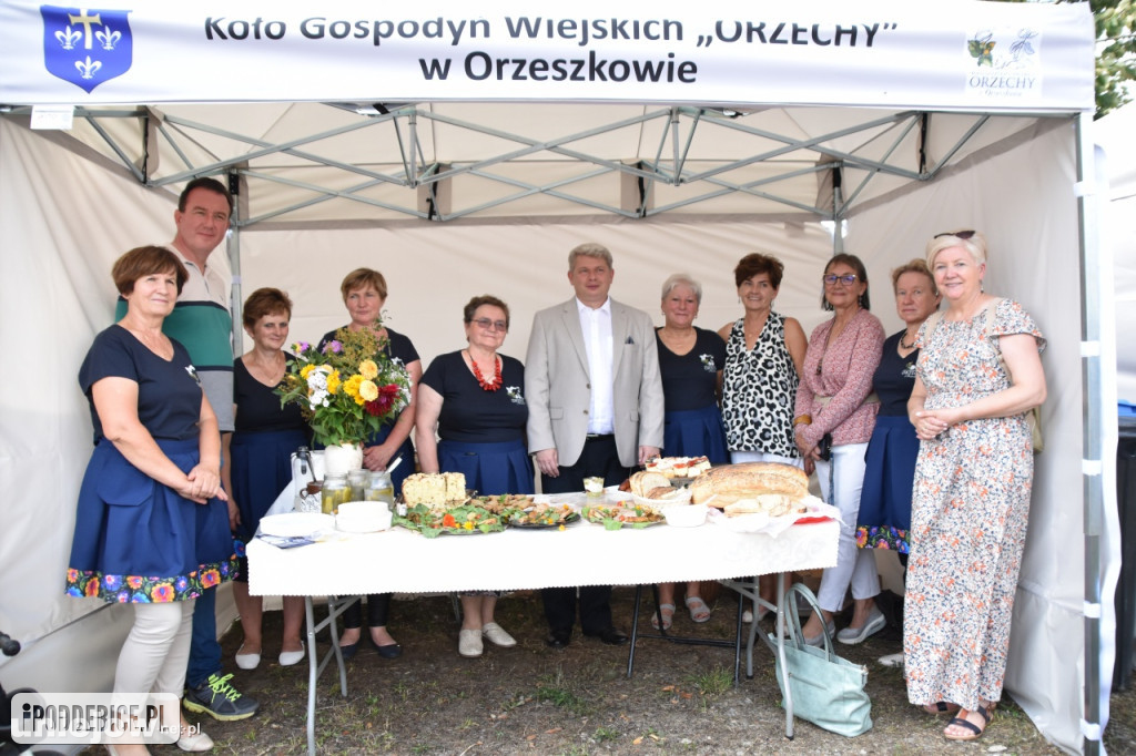Tak wyglądał piknik rodzinny w Ostrowsku [ZDJĘCIA]