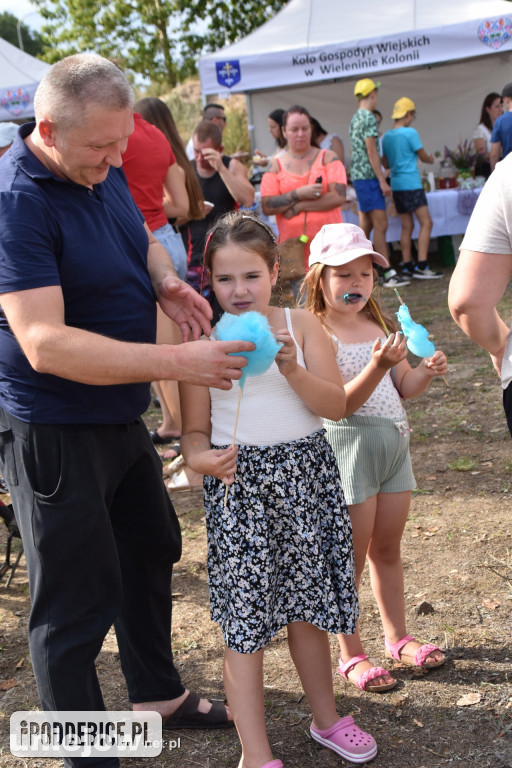 Tak wyglądał piknik rodzinny w Ostrowsku [ZDJĘCIA]