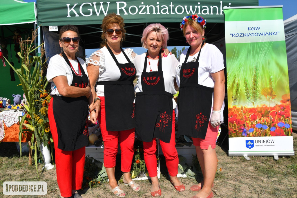 XI Dożynki Powiatu Poddębickiego w Brodni