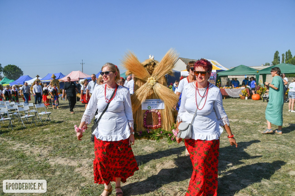 XI Dożynki Powiatu Poddębickiego w Brodni