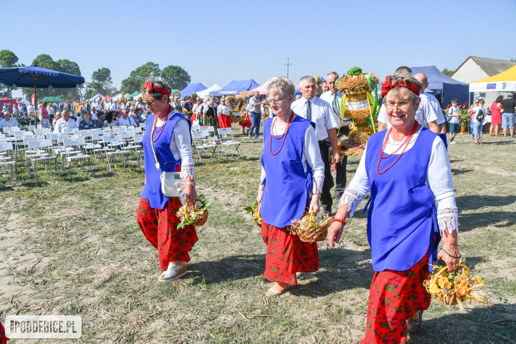 XI Dożynki Powiatu Poddębickiego w Brodni