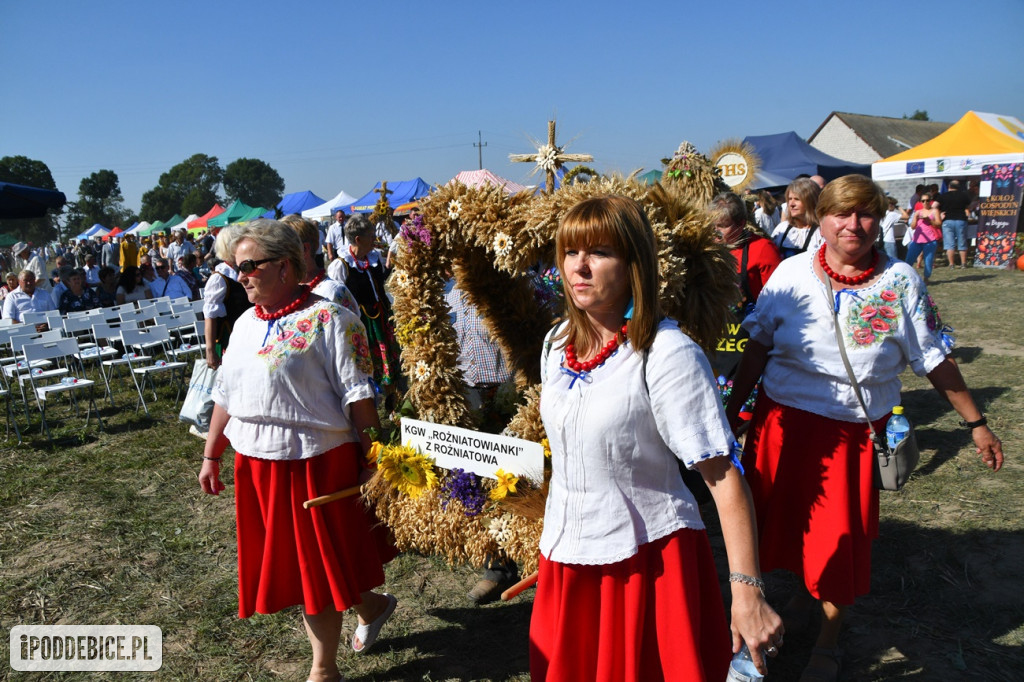 XI Dożynki Powiatu Poddębickiego w Brodni