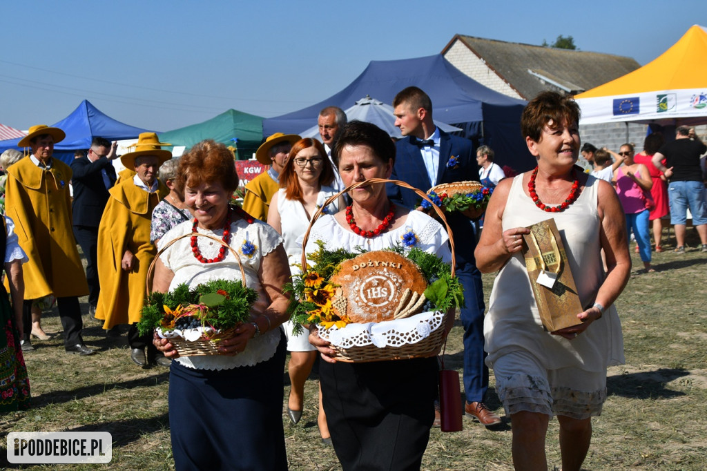 XI Dożynki Powiatu Poddębickiego w Brodni