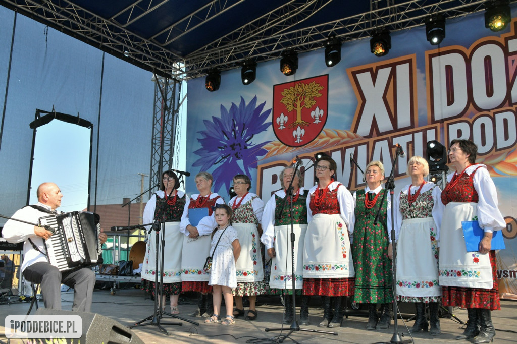 XI Dożynki Powiatu Poddębickiego w Brodni
