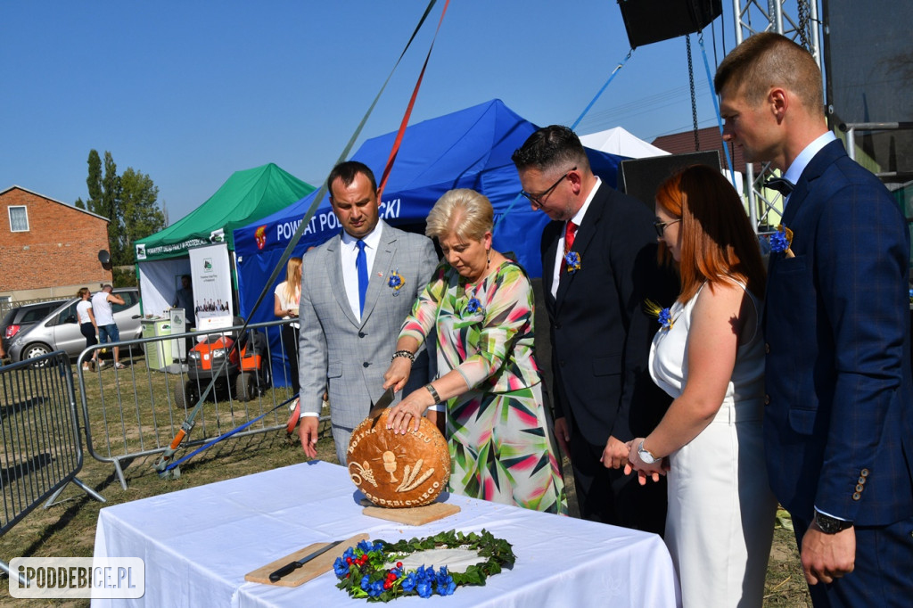 XI Dożynki Powiatu Poddębickiego w Brodni