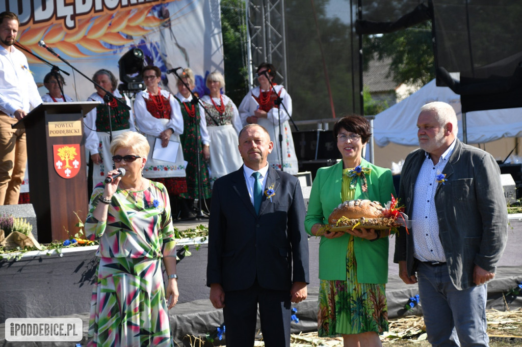 XI Dożynki Powiatu Poddębickiego w Brodni