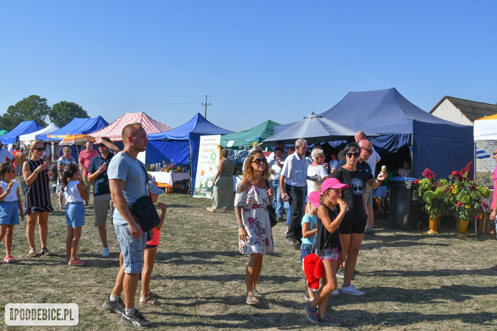 XI Dożynki Powiatu Poddębickiego w Brodni