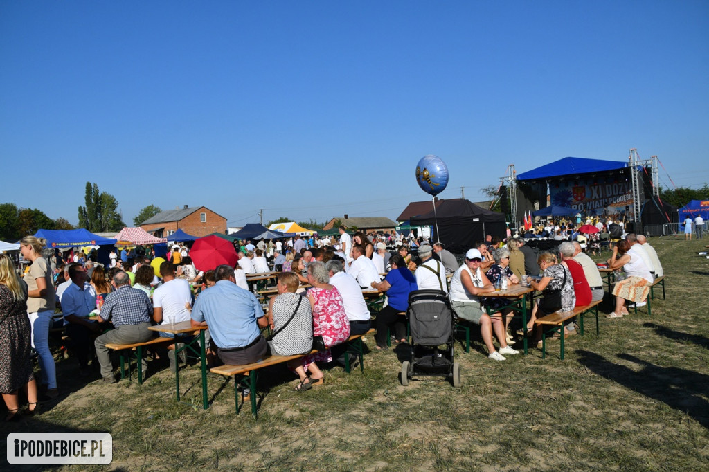 XI Dożynki Powiatu Poddębickiego w Brodni