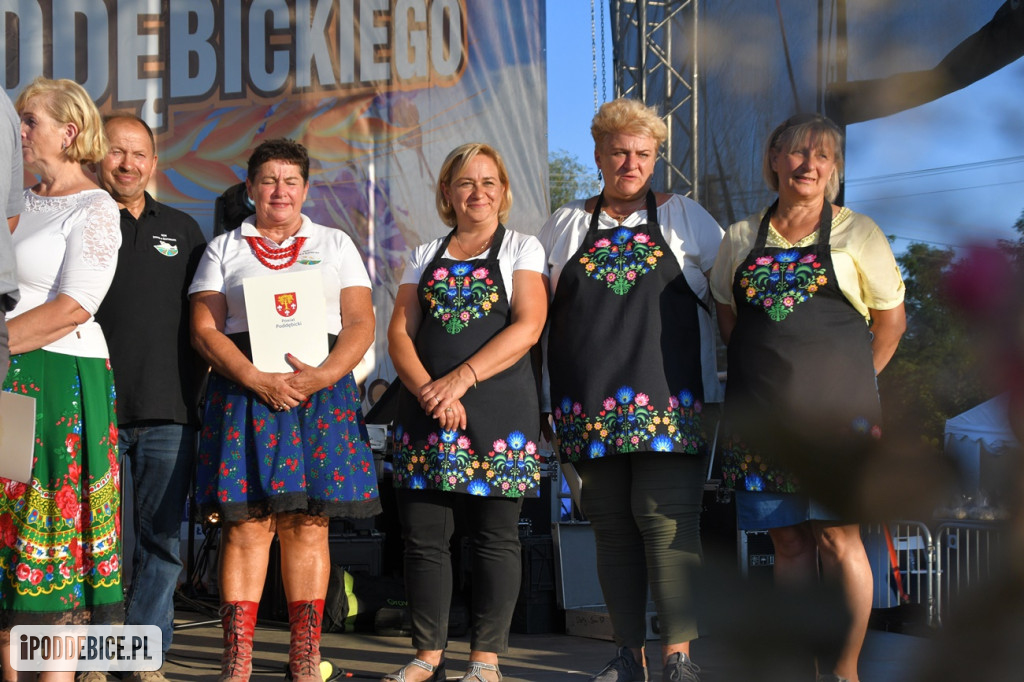 XI Dożynki Powiatu Poddębickiego w Brodni