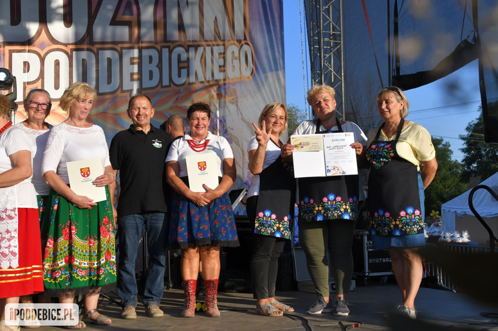 XI Dożynki Powiatu Poddębickiego w Brodni