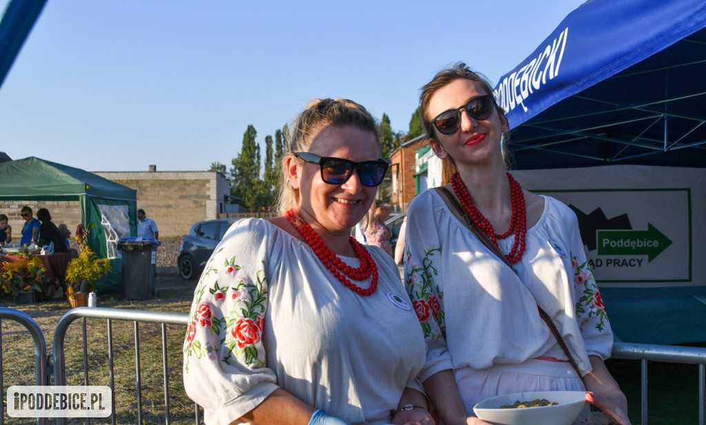 XI Dożynki Powiatu Poddębickiego w Brodni