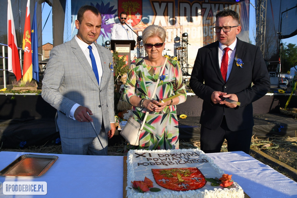 XI Dożynki Powiatu Poddębickiego w Brodni