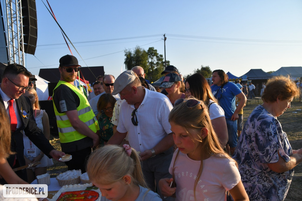 XI Dożynki Powiatu Poddębickiego w Brodni