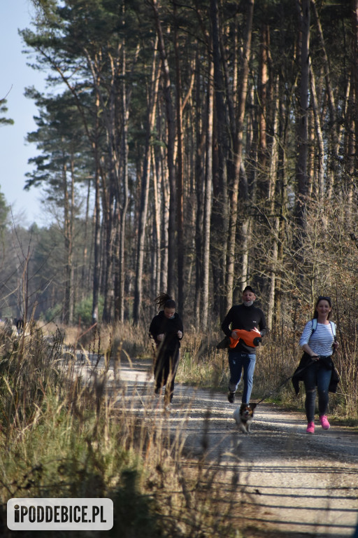 Oni pobiegli w Biegu dla Krzysztofa Sobieraja [FOTO]