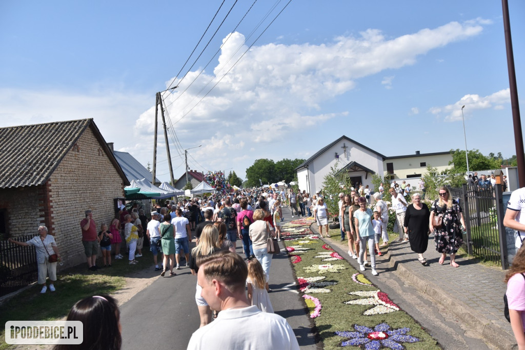 Tak wyglądało Boże Ciało w znanym z kwietnych dywanów Spycimierzu