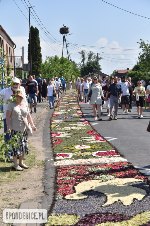 Tak wyglądało Boże Ciało w znanym z kwietnych dywanów Spycimierzu