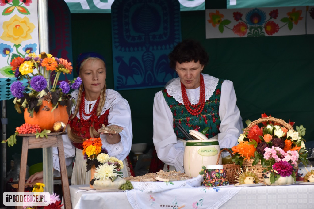 XII Dożynki Powiatu Poddębickiego połączono z Gminno-Parafialnym Świętem Plonów [ZDJĘCIA]